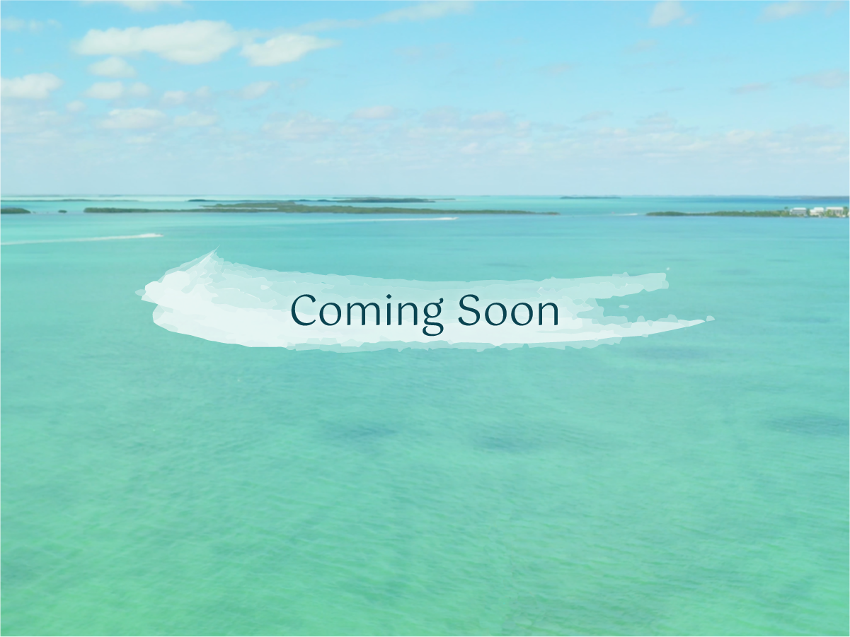 coming soon