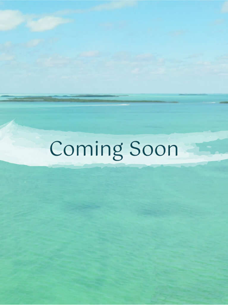Coming Soon