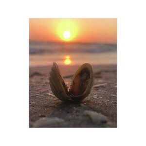 Sunrise Treasure Poster